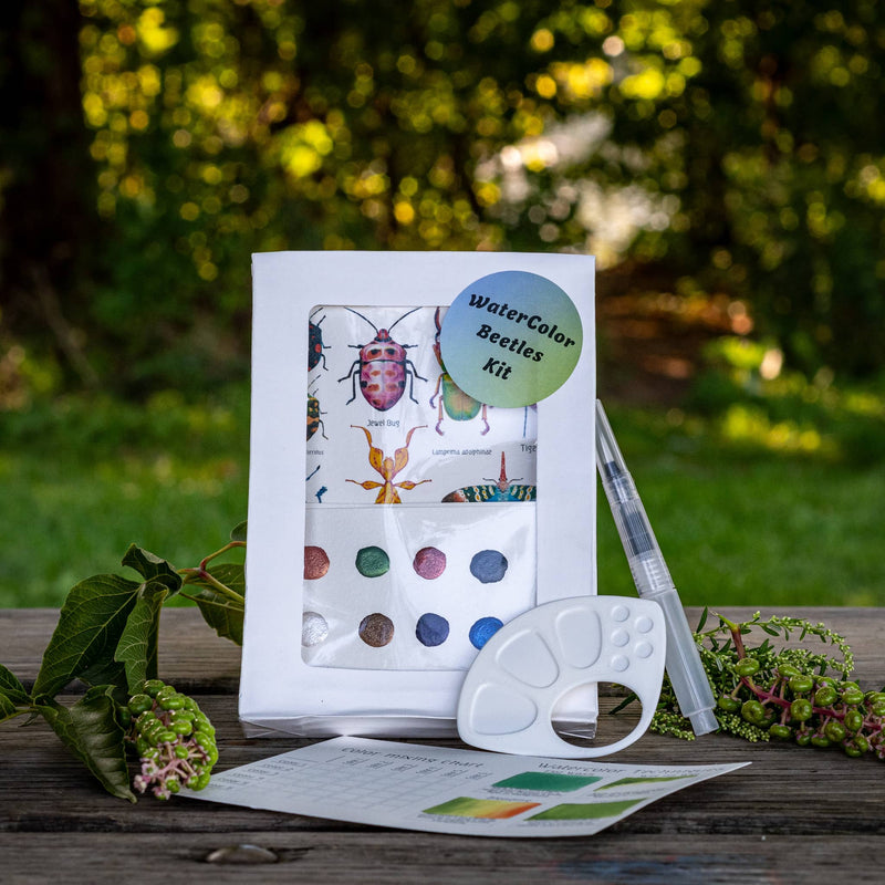 Beetles WaterColor Set