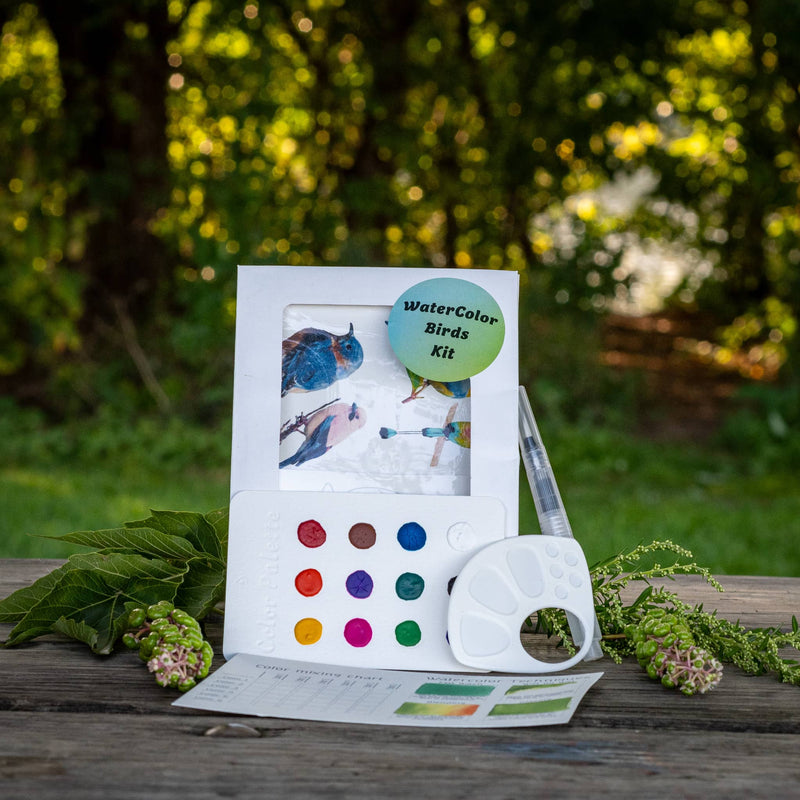 Birds WaterColor Set