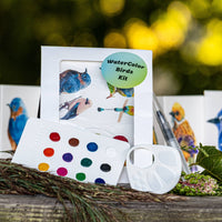Birds WaterColor Kit