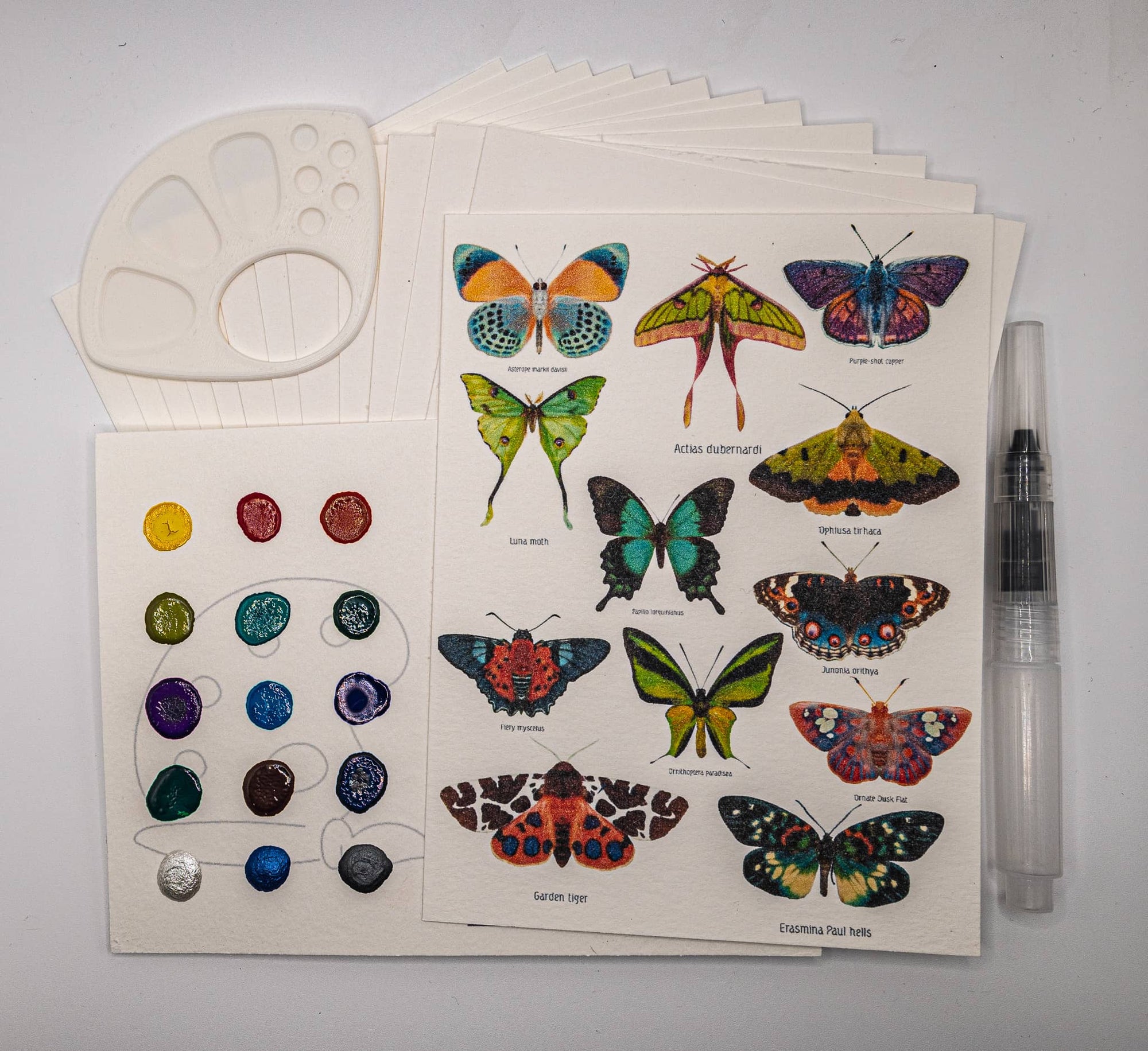 Butterfly Moth WaterColor Kit