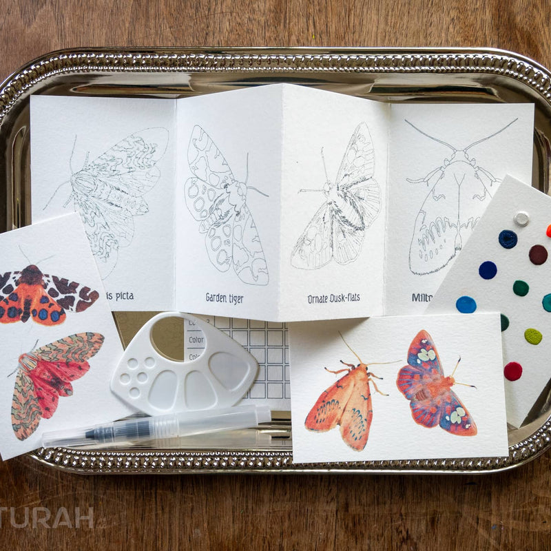 Butterflies & Moths Mini-WaterColor Set