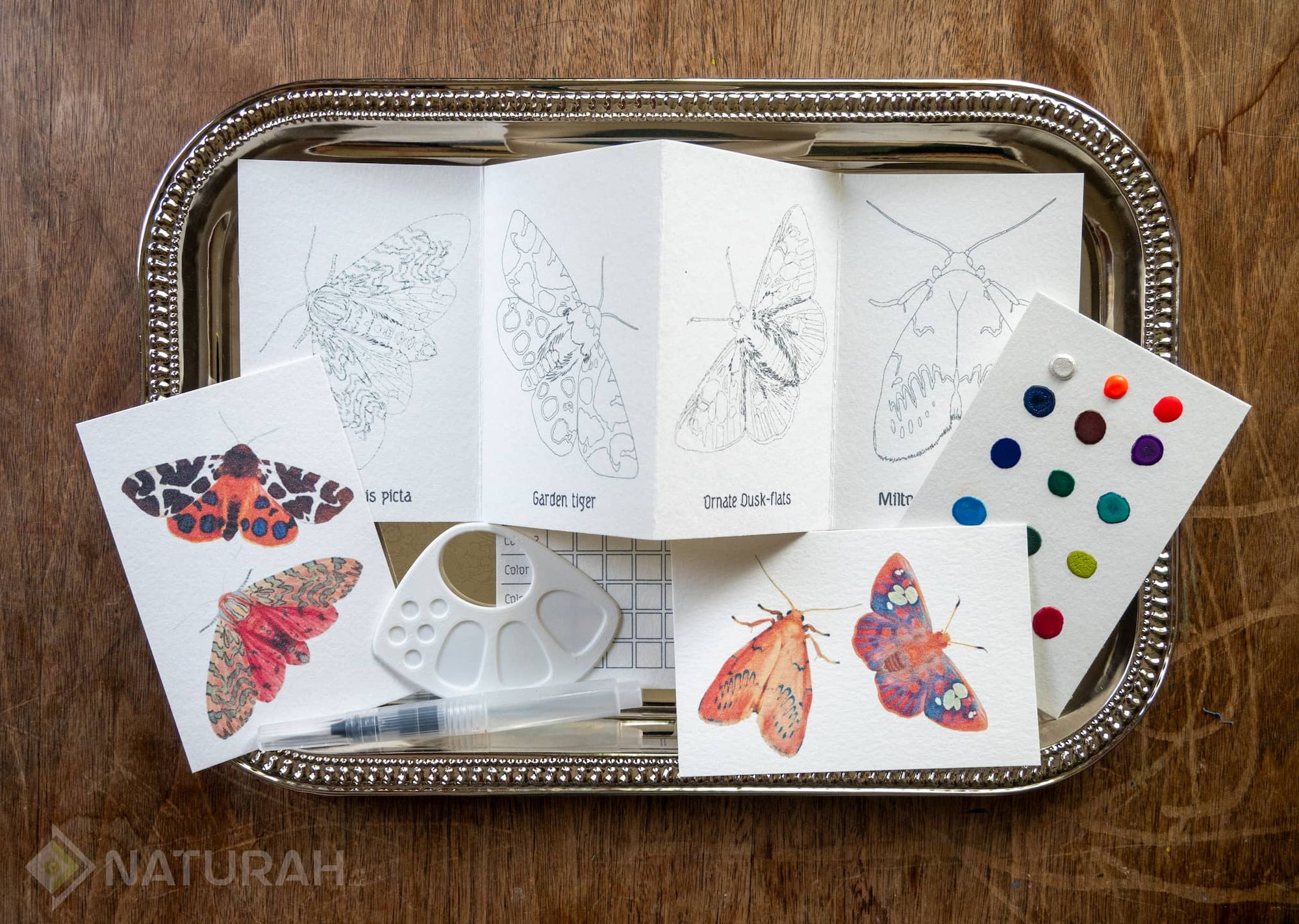 Mini-WaterColor Kit ~ Butterflies & Moths