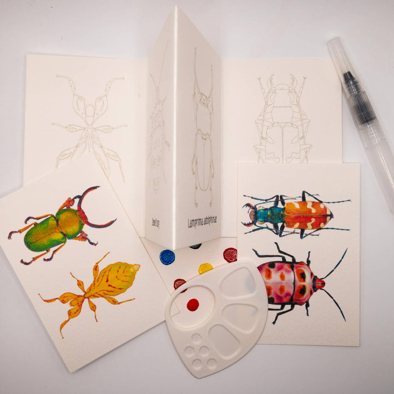 Beetles Mini-WaterColor Set
