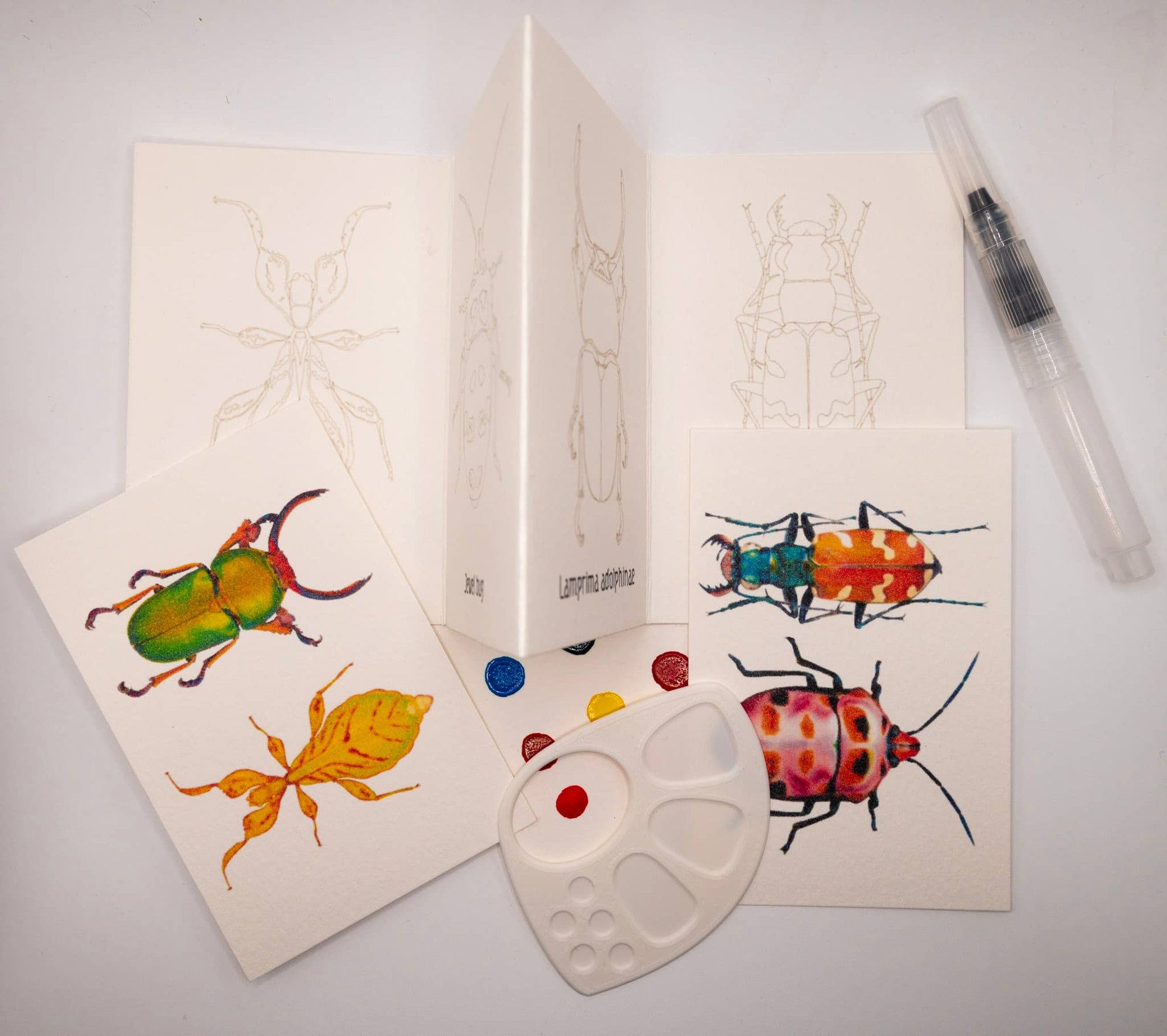 Beetles ~ Mini-WaterColor Kit