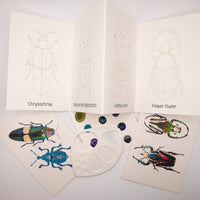 Beetles Mini-WaterColor Set