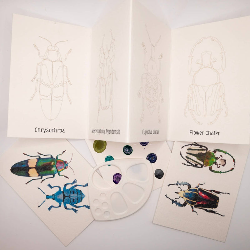 Beetles Mini-WaterColor Set