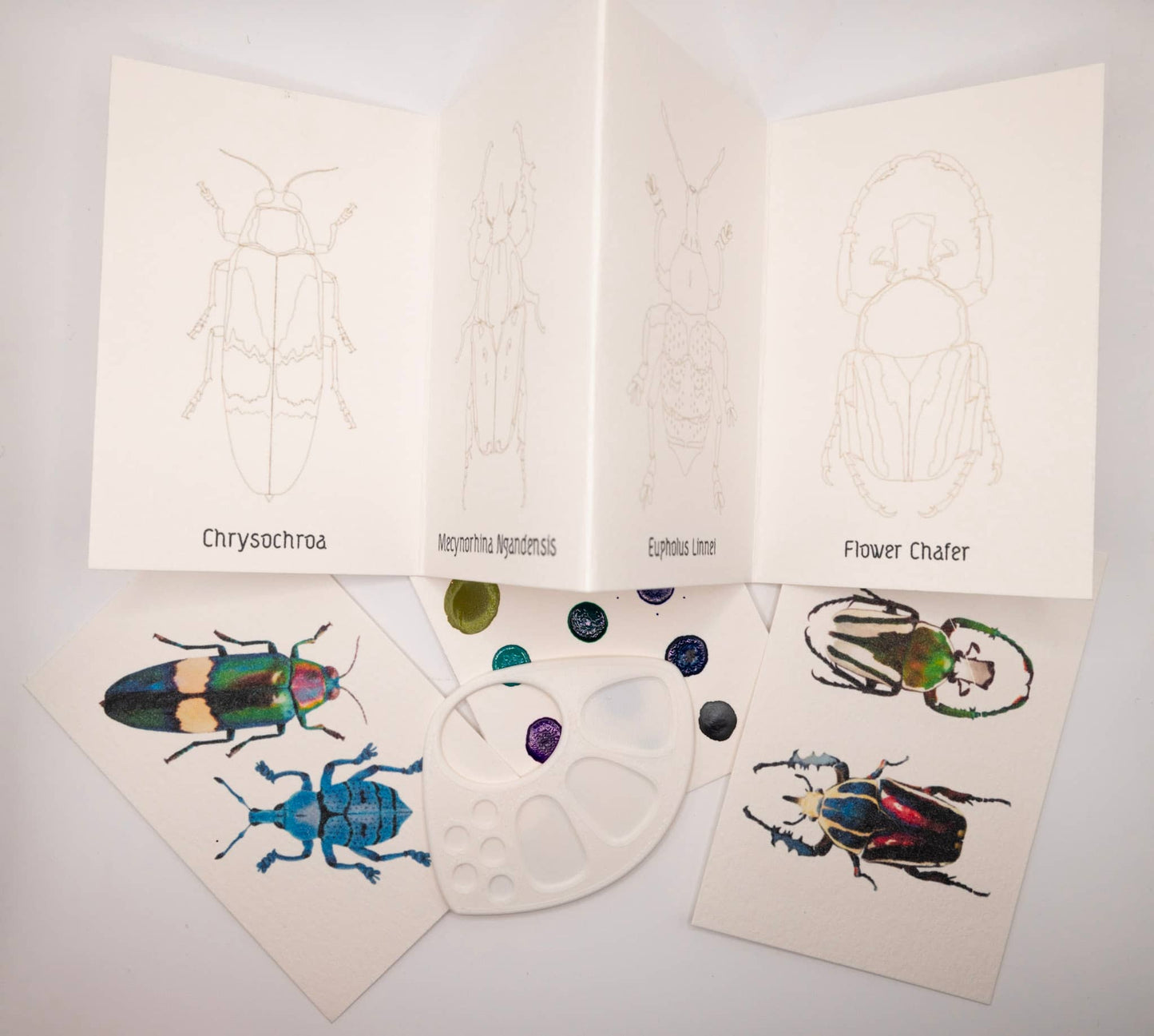 Mini-paint WaterColor Kit ~ Beetles