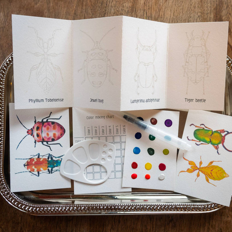 Beetles Mini-WaterColor Set
