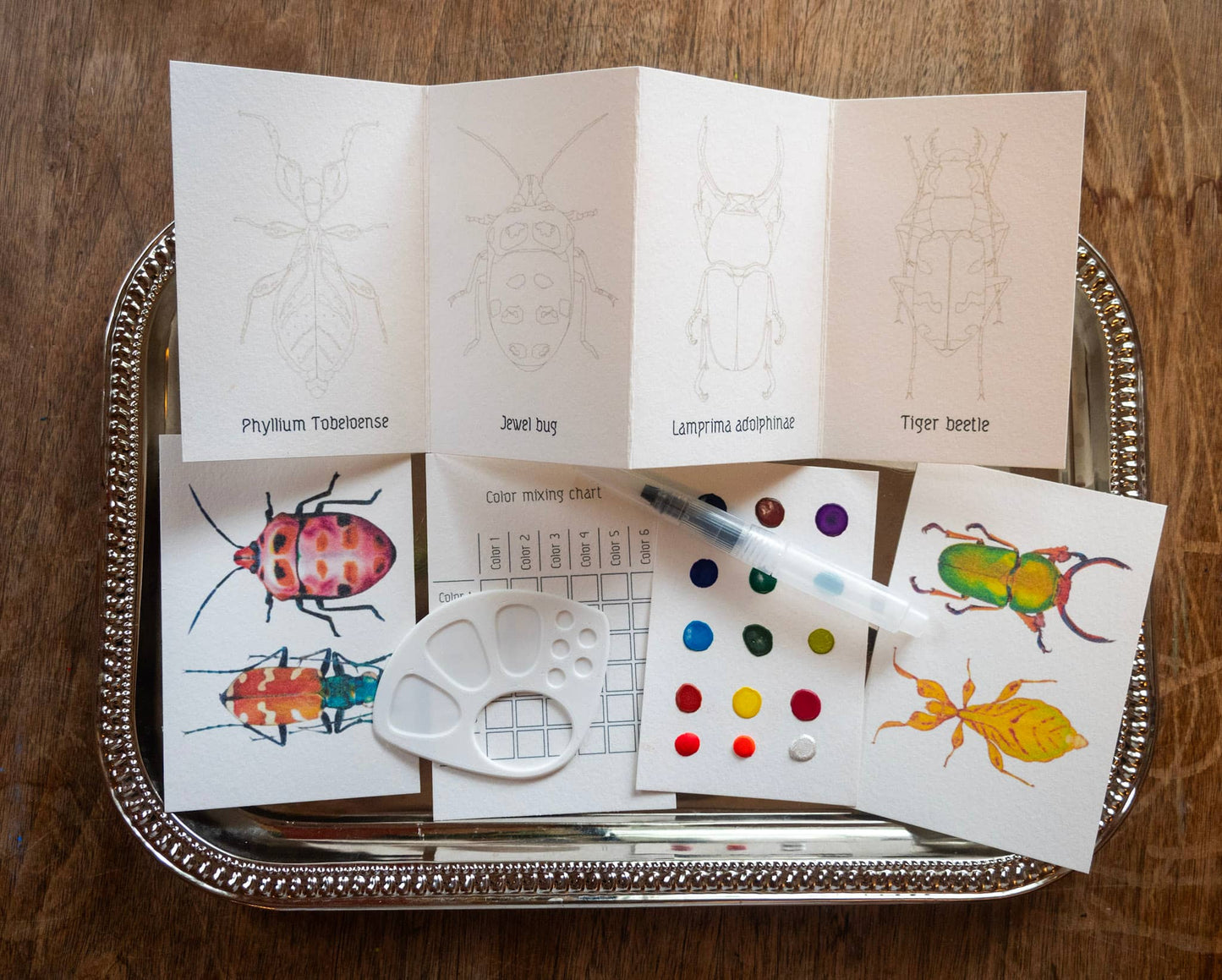 Mini-paint WaterColor Kit ~ Beetles