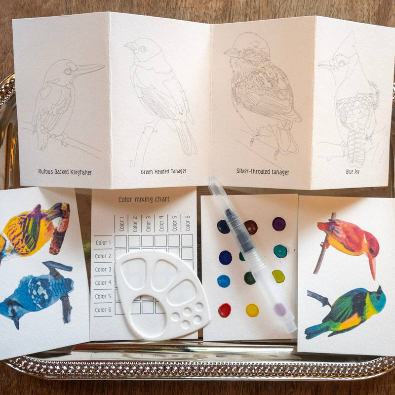 Birds Mini-Watercolor Set