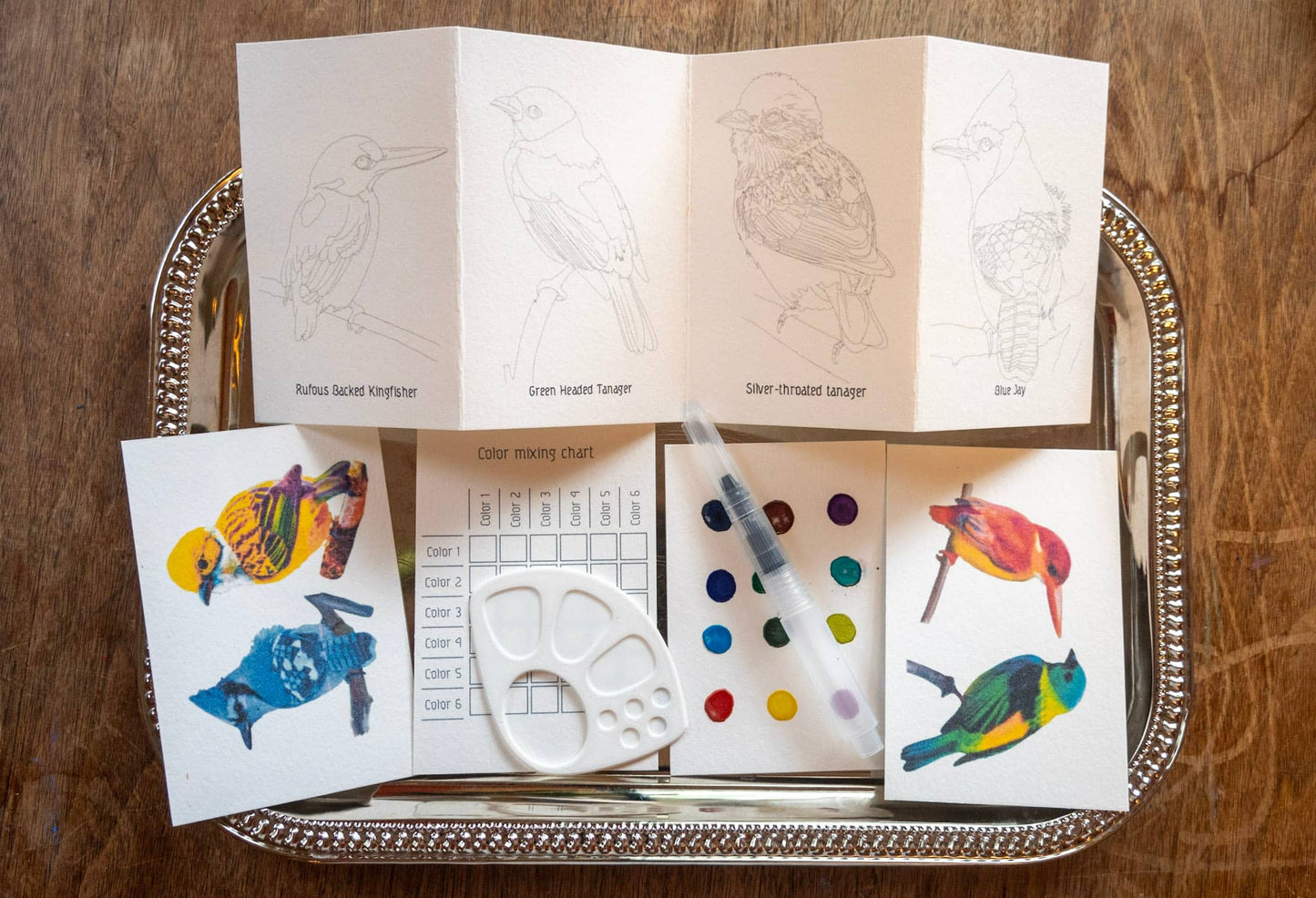 Birds Mini-Watercolor Kit |  PostCards DIY All-in-one