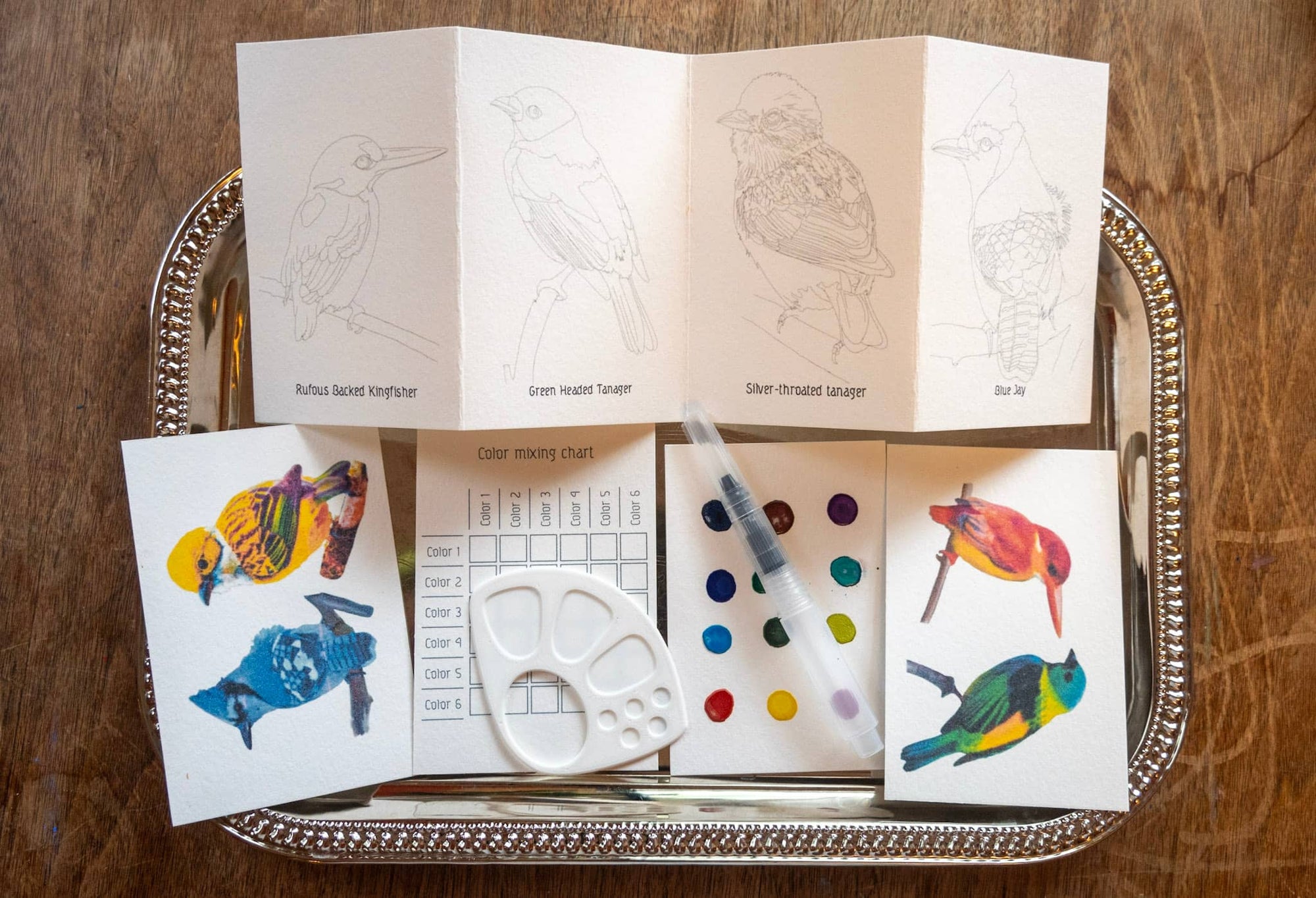 Birds ~ Mini-Watercolor Kit
