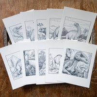 Dinosaurs WaterColor Kit