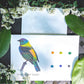Singles Painting Kit ~ Birds ~ Pre-Selected Paints