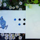 Singles Painting Kit ~ Birds ~ Pre-Selected Paints