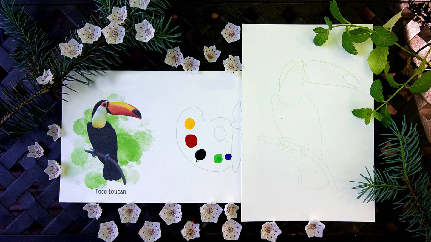 Singles Painting Kit ~ Birds ~ Pre-Selected Paints