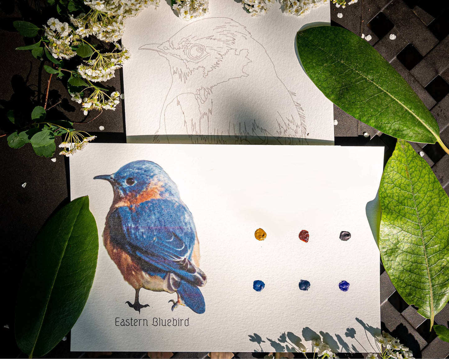 Singles Painting Kit ~ Birds ~ Pre-Selected Paints