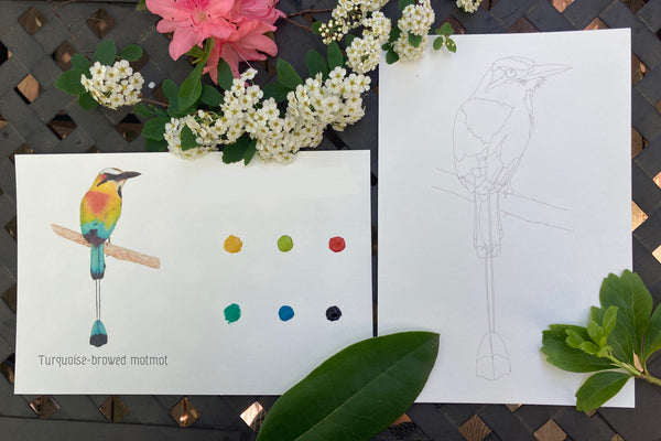 Birds Individual Cards | watercolor painting kit, watercolor kit, DIY Watercolor, Beginner paint kit, Art kit, bird painting