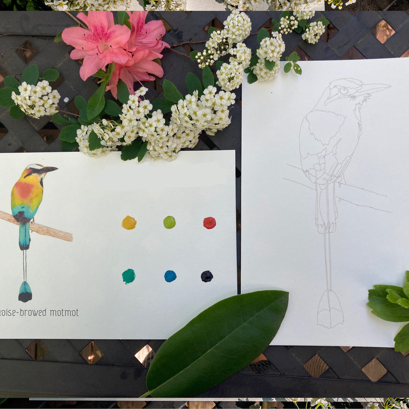 Birds Individual Cards | watercolor painting kit, watercolor kit, DIY Watercolor, Beginner paint kit, Art kit, bird painting