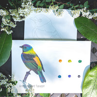 Birds Individual Cards | watercolor painting kit, watercolor kit, DIY Watercolor, Beginner paint kit, Art kit, bird painting