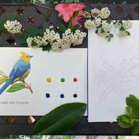 Birds Individual Cards | watercolor painting kit, watercolor kit, DIY Watercolor, Beginner paint kit, Art kit, bird painting