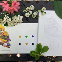 Birds Individual Cards | watercolor painting kit, watercolor kit, DIY Watercolor, Beginner paint kit, Art kit, bird painting
