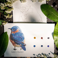 Birds Individual Cards