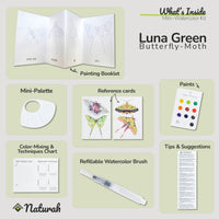Mini-WaterColor Kit ~ Butterflies & Moths
