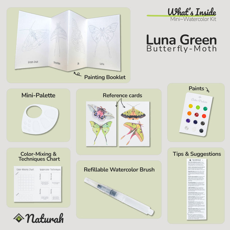 Butterflies & Moths Mini-WaterColor Set