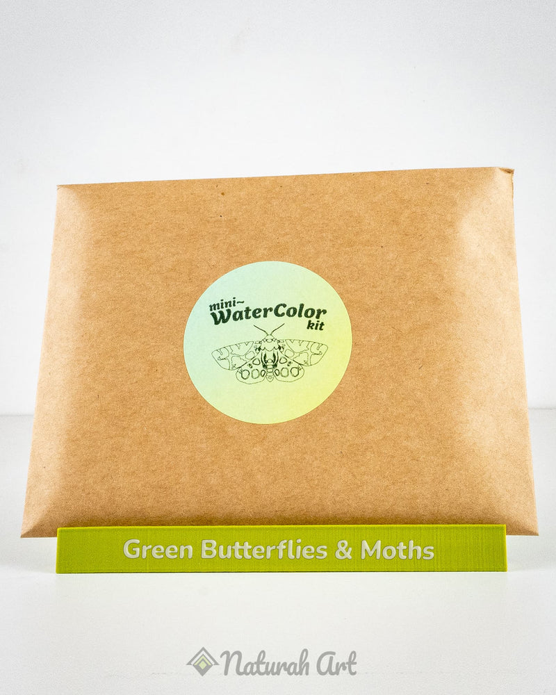 Mini-WaterColor Kit ~ Butterflies & Moths