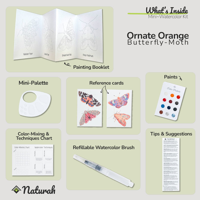 Butterflies & Moths Mini-WaterColor Set