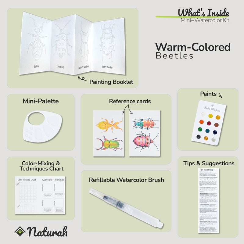 Beetles Mini-WaterColor Set