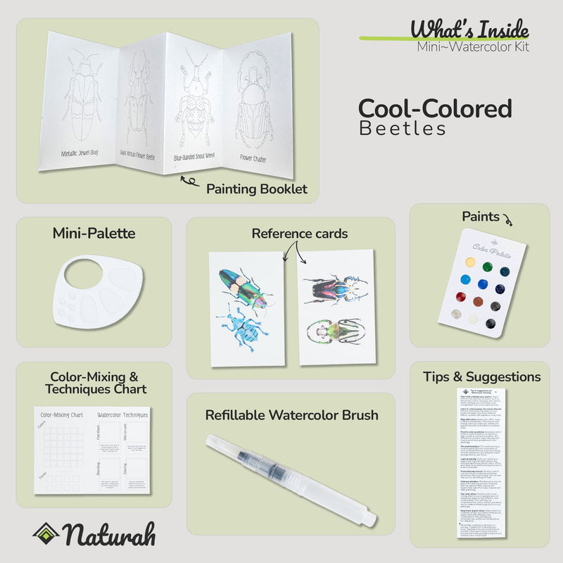 Beetles Mini-WaterColor Set