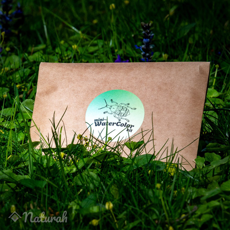 Beetles Mini-WaterColor Set