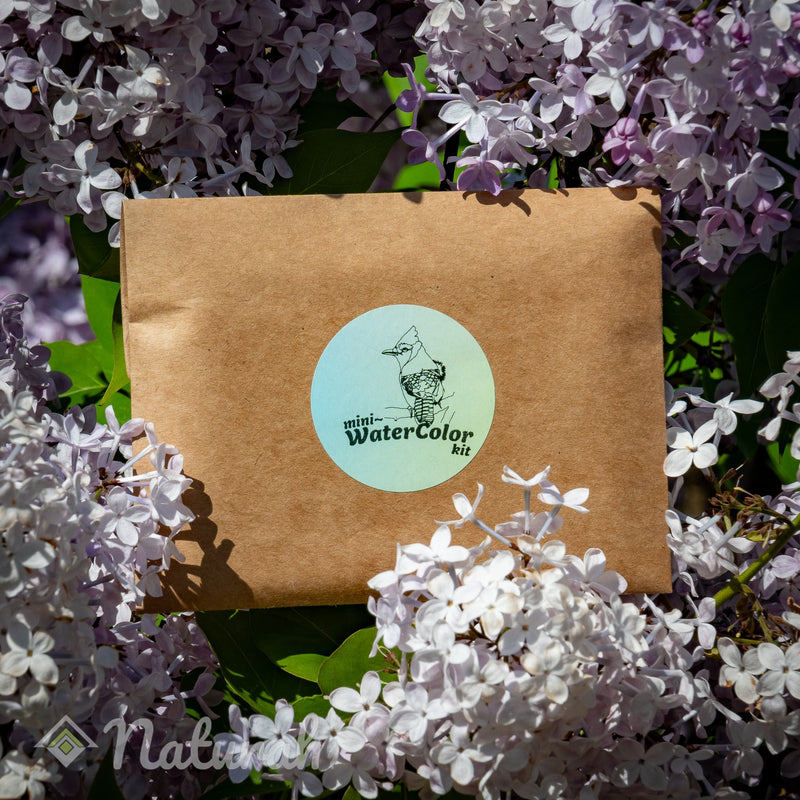 Birds Mini-Watercolor Set