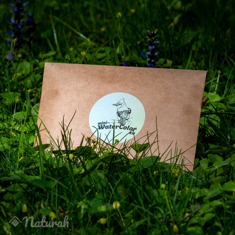 Birds Mini-Watercolor Set