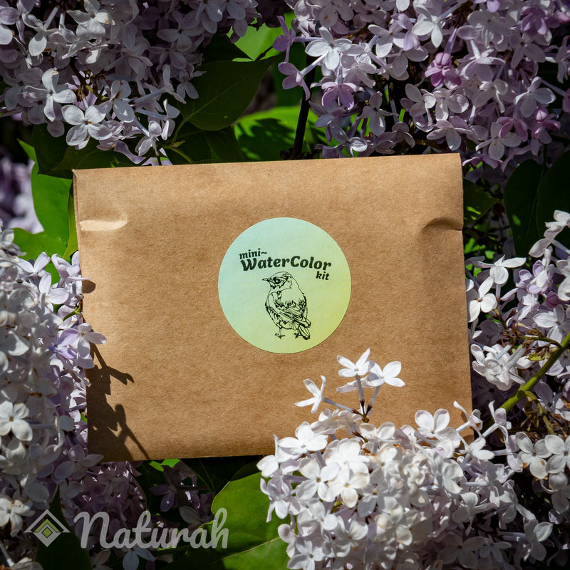 Birds Mini-Watercolor Set