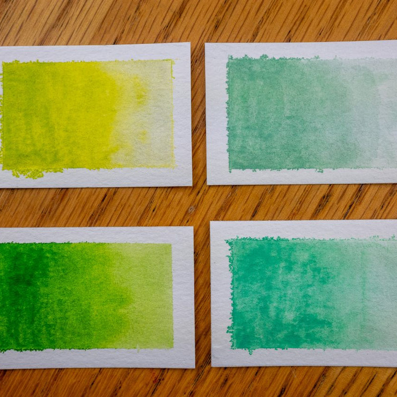 Peppermint Mambo Watercolor Paints