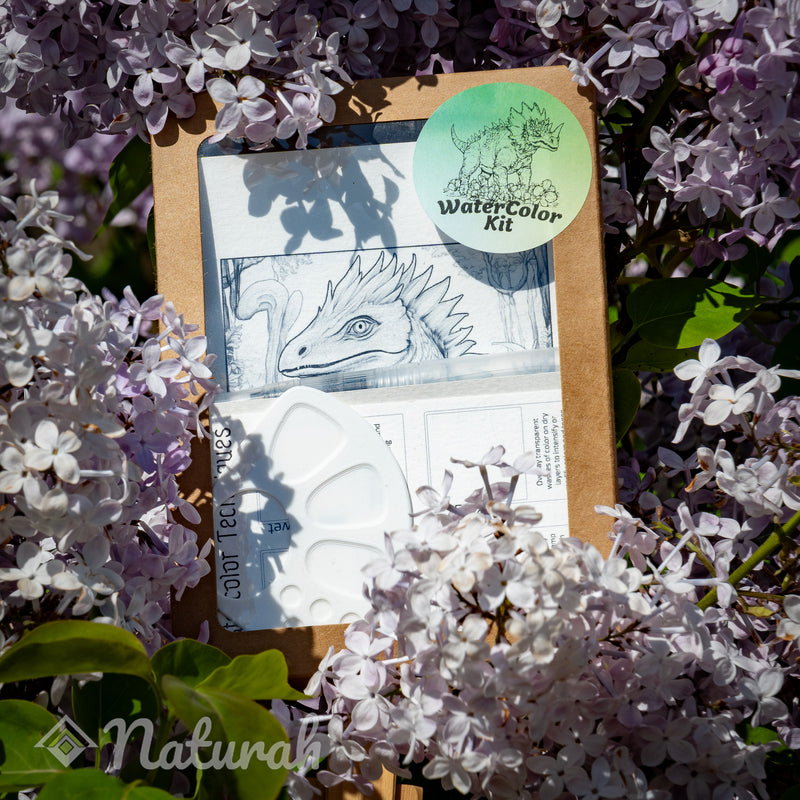 Dinosaurs WaterColor Set