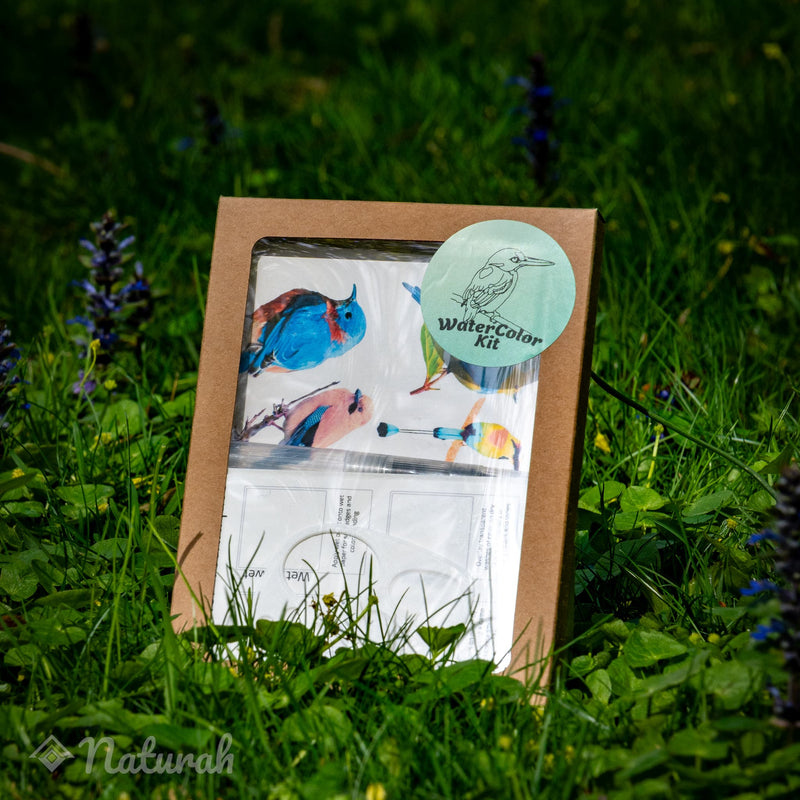 Birds WaterColor Set