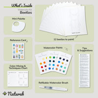 Beetles WaterColor Kit
