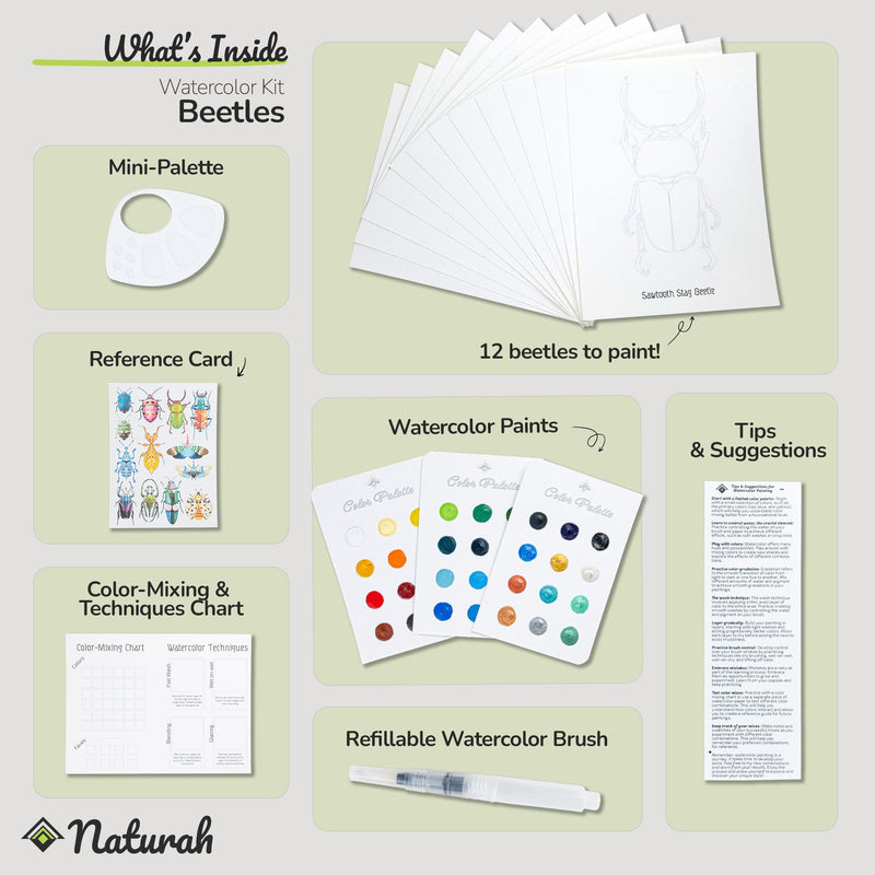 Beetles WaterColor Set