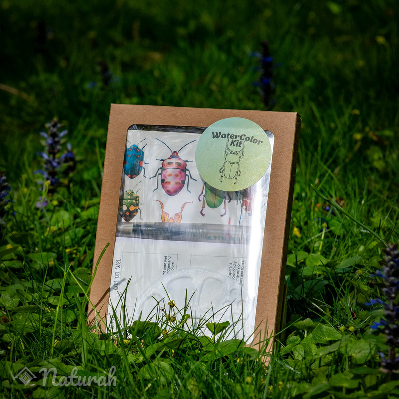 Beetles WaterColor Set