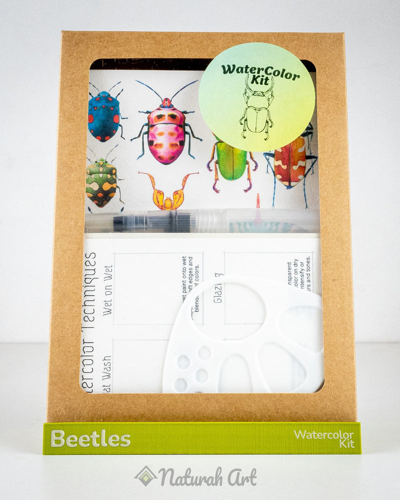 Beetles WaterColor Kit
