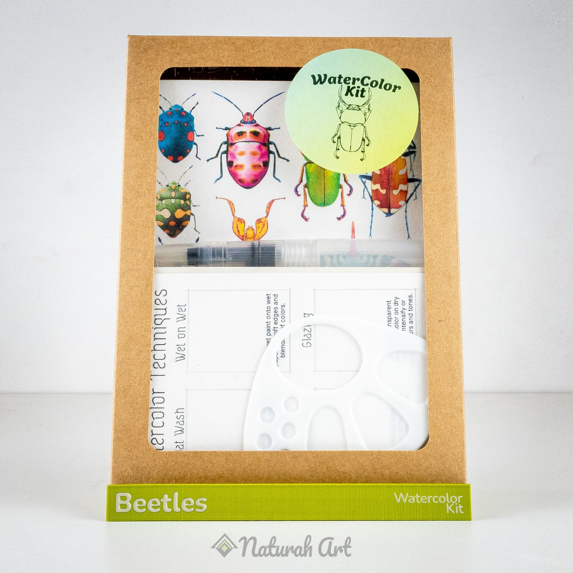 Beetles WaterColor Kit