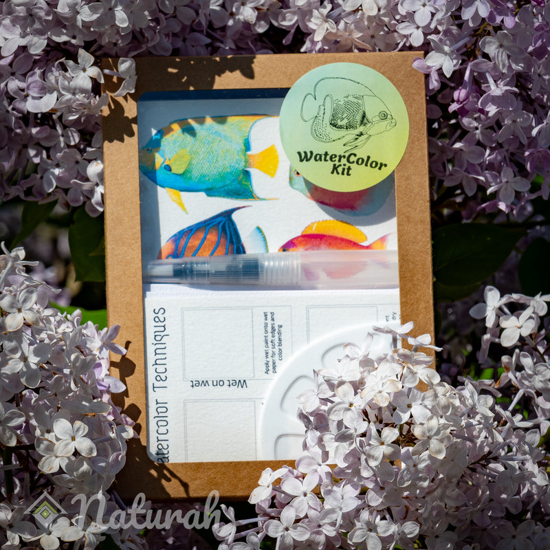 Tropical-Fish WaterColor Set