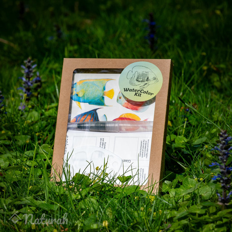 Tropical-Fish WaterColor Set