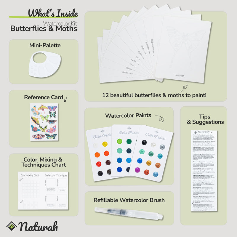 Butterfly WaterColor Set