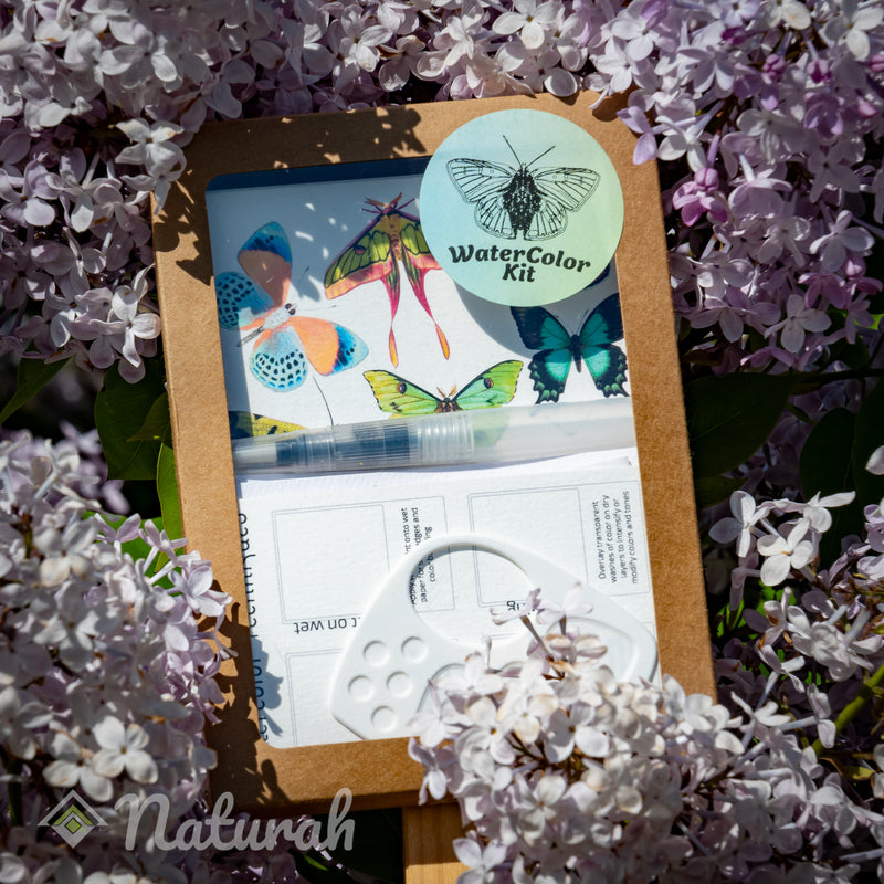Butterfly WaterColor Set