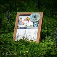 Butterfly WaterColor Kit